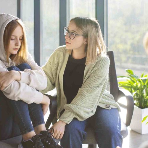 L’approche systémique de la méthode Palo Alto : Comprendre une révolution en psychologie et communication
