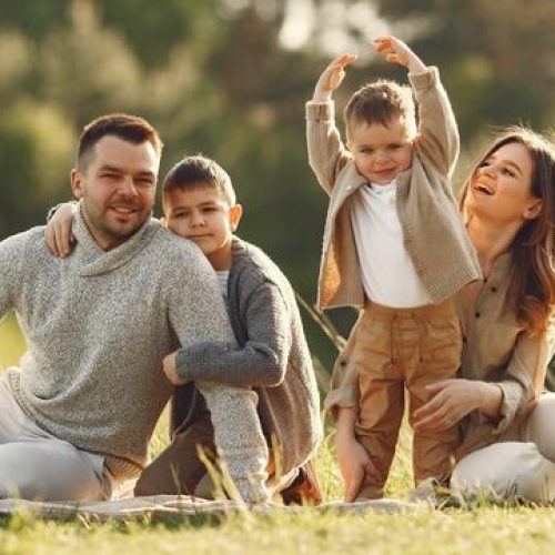 La Thérapie Familiale Systémique