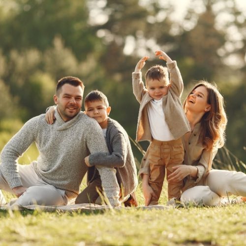 La Thérapie Familiale Systémique